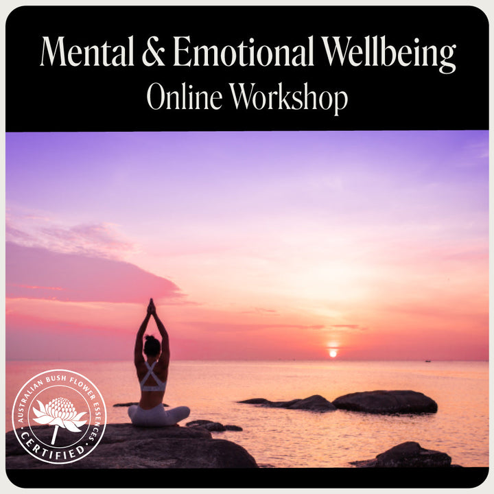 Online-Workshop zum Thema psychisches und emotionales Wohlbefinden