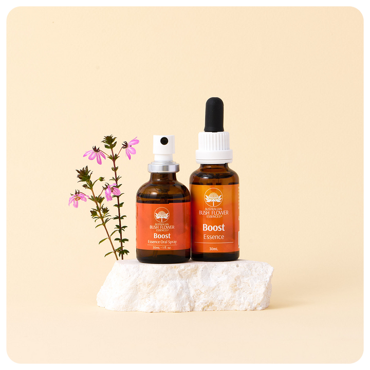 Boost Essenz-Set