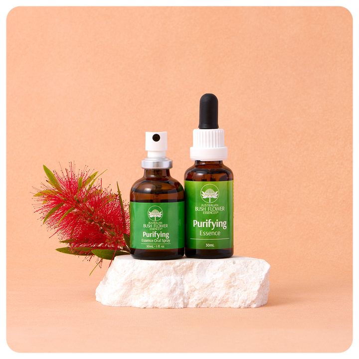 Purifying Essenz-Set