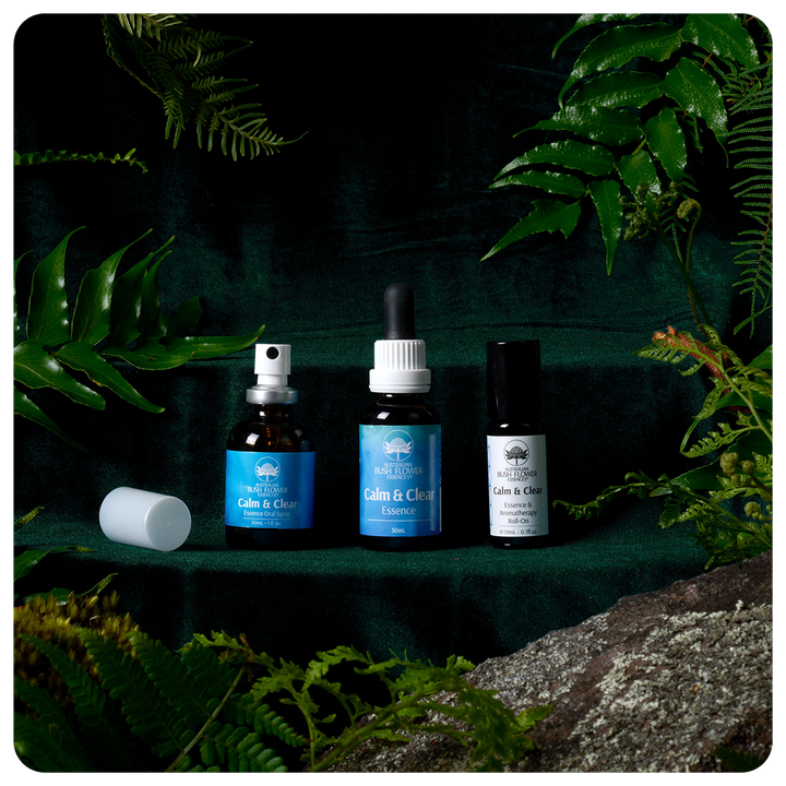 Calm & Clear Essenz-Trio