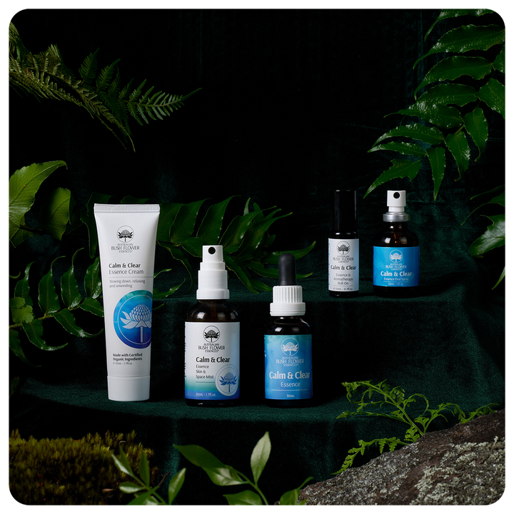 Calm & Clear Essenz-Geschenkset