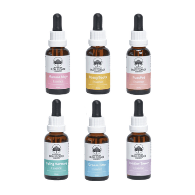 Parenting Remedy Bundle