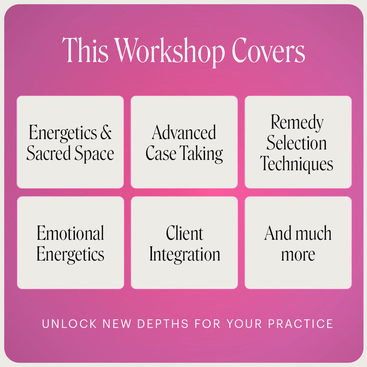 Course curriculum overview for the Practitioner Mentoring Program, listing topics such as Energetics and Creating Sacred Safe Space for Clients, Case Taking, and Techniques for Selecting Remedies and Prescribing.