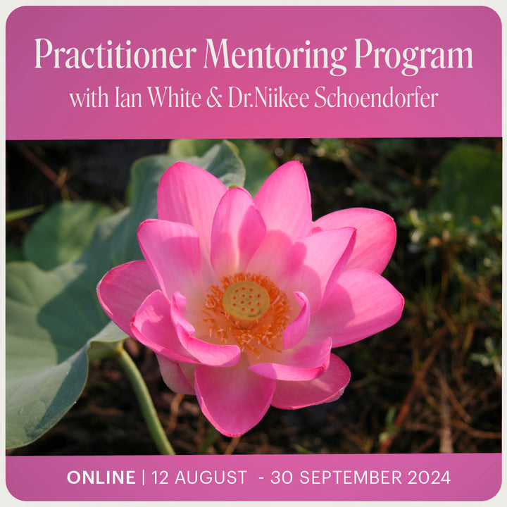 Australian Bush Flower Essences Practitioner Mentoring Program promotional image, featuring Ian White and Dr. Niikee. This 8-week interactive online course starts August 12th and runs every Monday night until September 30th.