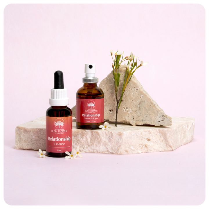 Beziehungsessenz-Bundle