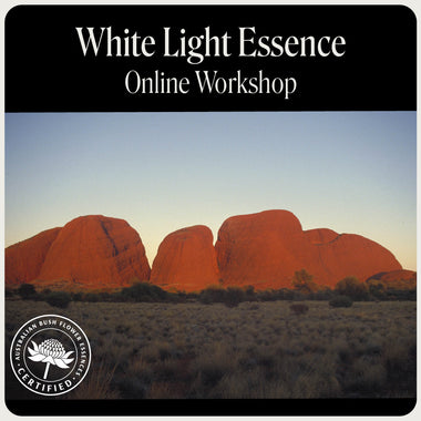 Online-Workshop zu Essenzen des weißen Lichts