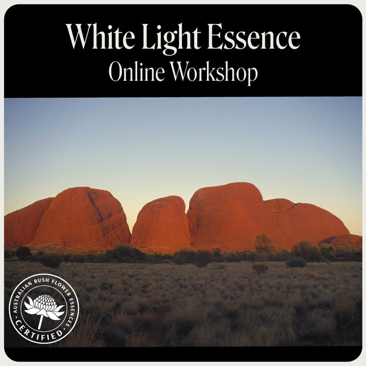 Online-Workshop zu Essenzen des weißen Lichts