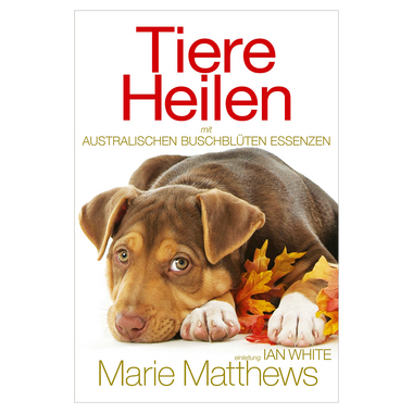Animal Healing