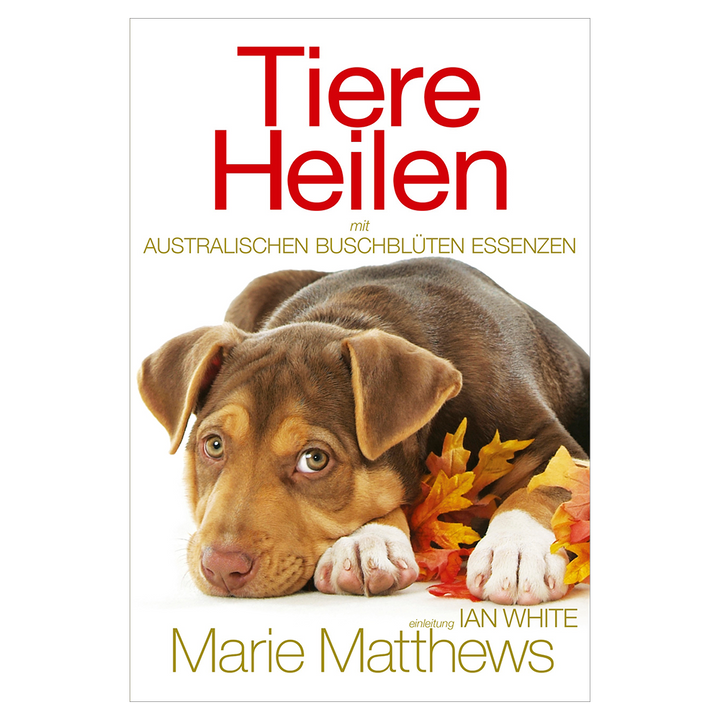 Animal Healing