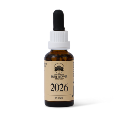 2026 Essenz