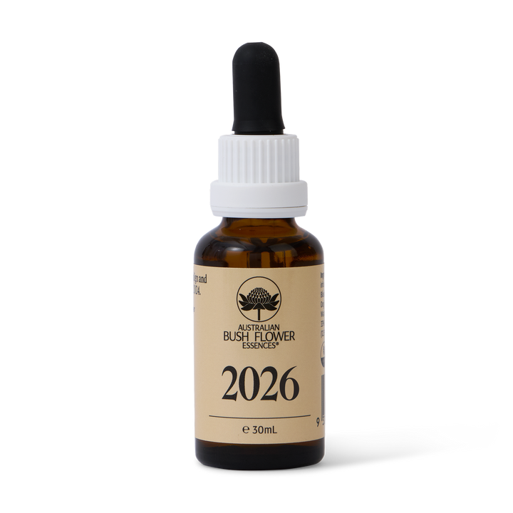 2026 Essenz